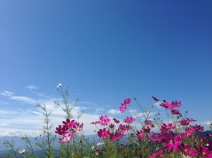 宝登山奥宮