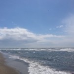 海