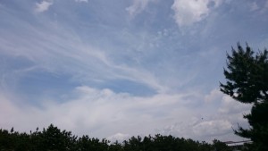 空