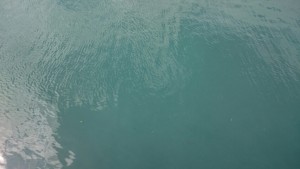 青潮
