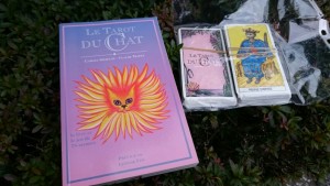  Le tarot du chat