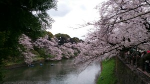 千鳥ヶ淵